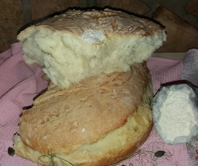 Pogača