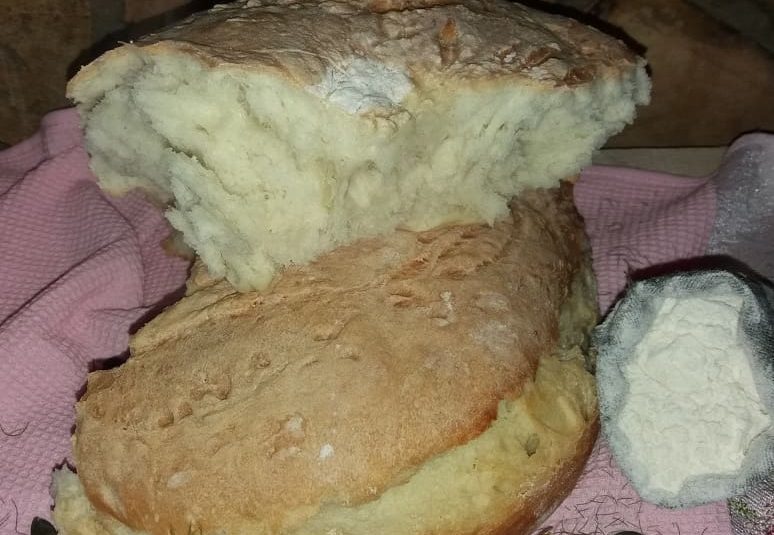 Pogača