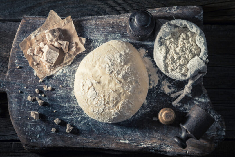 Fresh ingredients for delicious dough for pizza Kvasac – mikroskopska fabrika