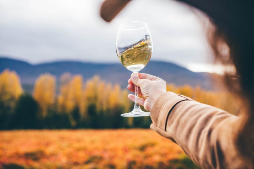 27.03 Kako kvasac utiče na aromu vašeg omiljenog vina?