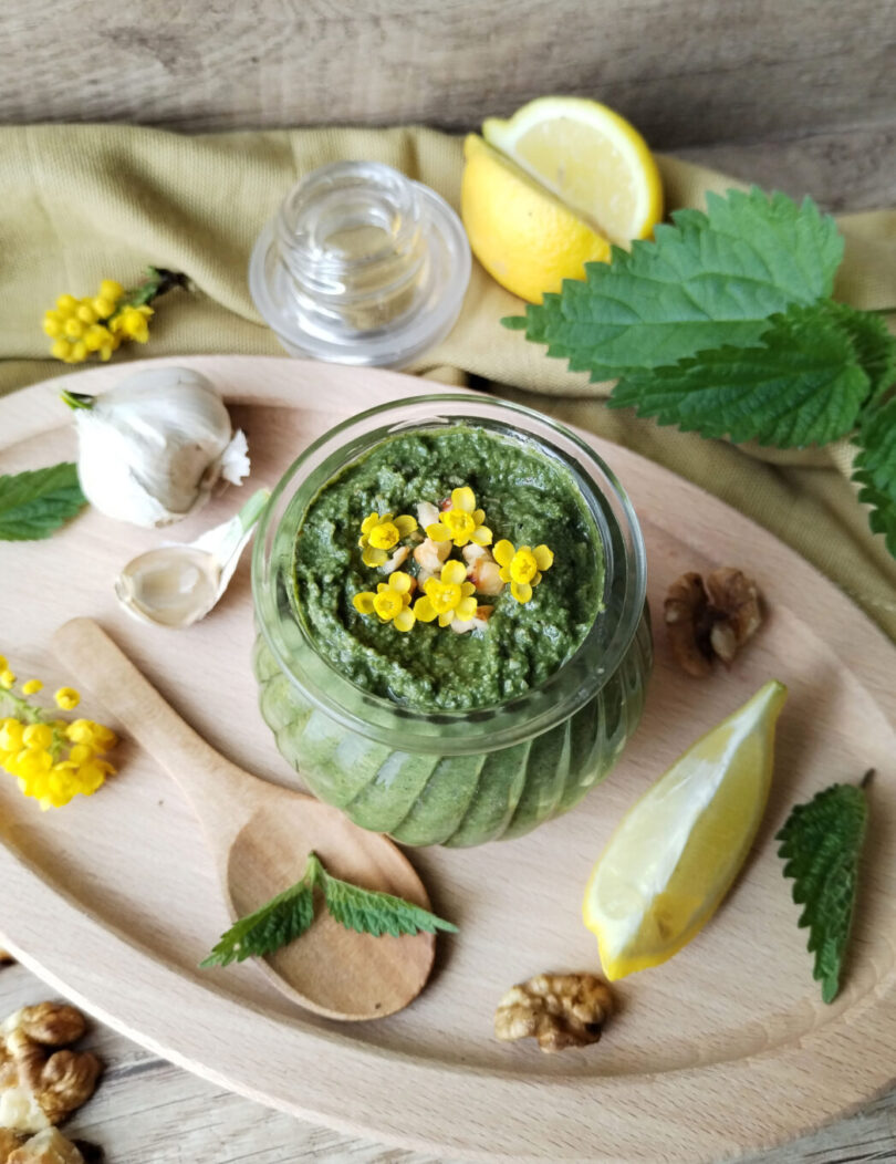17.04_Pesto Kopriva – kraljica proleća